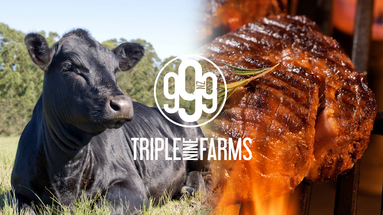 Triple Nine Farms – Project Update